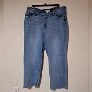 Juddy Blue Straight Fit Hi Rise Raw Hem Jeans Sz. 24W